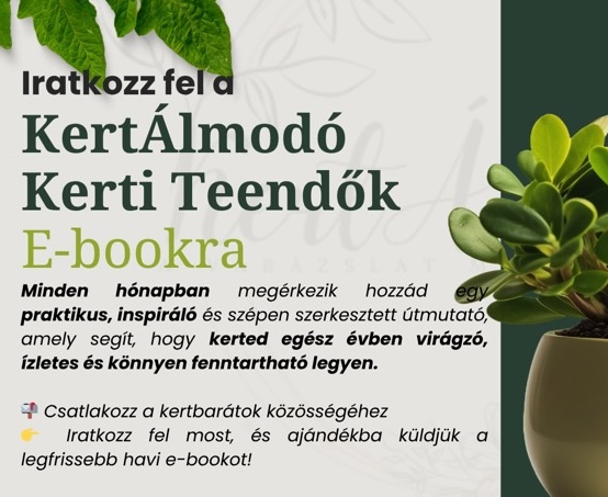 12 hónapos kertgondozási terv / Kert tippek